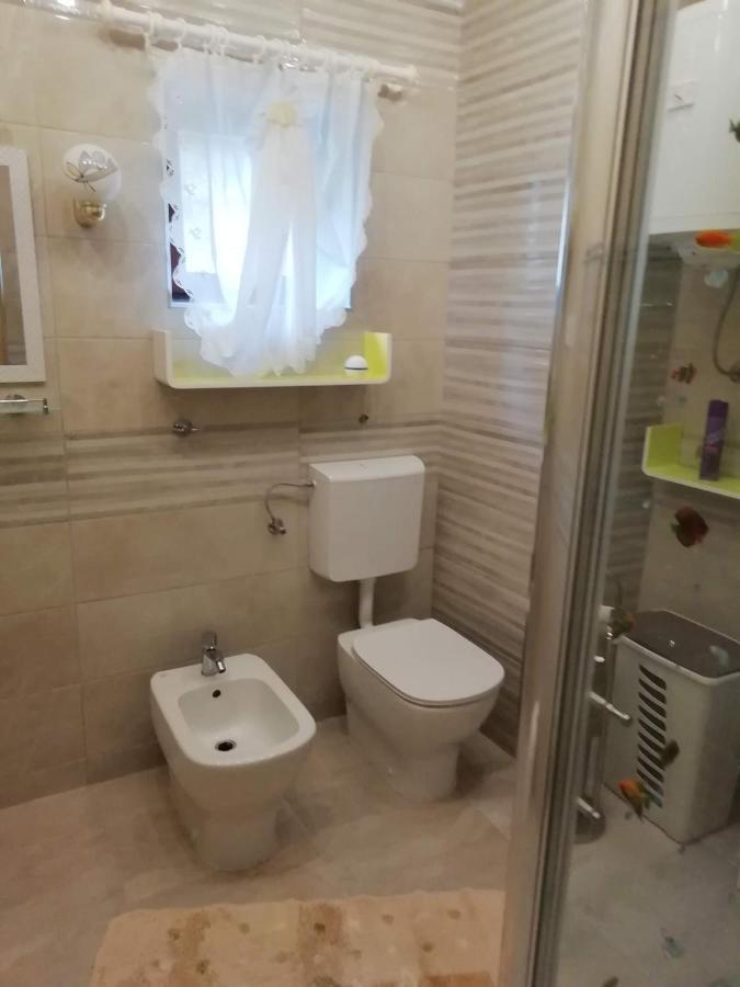 Apartment Branko ドラゲ エクステリア 写真